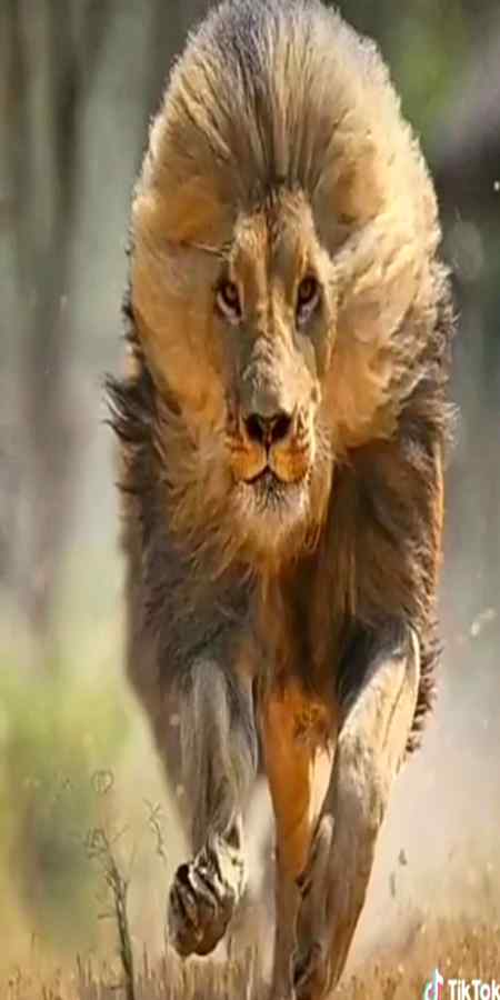 aPnI zId kI kiA mIsAAl dOo
sHaRiKo. wAhAn zArooR jAtA hOo. JaHan likHA hO ilaKa gHaIr mUmnOO hAi