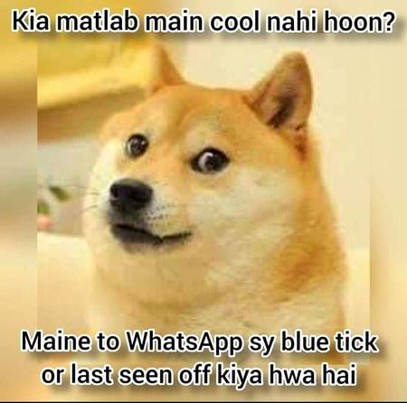 What'sapp barbaad bhencho...