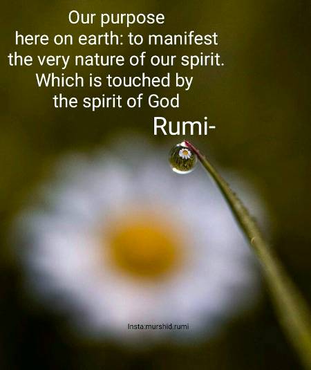 RUMI'S WORDS