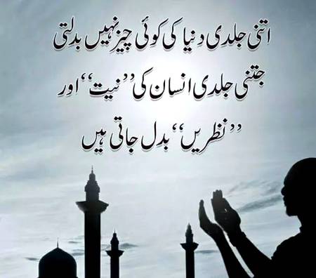 🌹🌹🌹صلی اللہ علی حبیبہ محمد نور من نوراللہ وعلی آلہ واہل بیتہ وعترتہ وازواجہ وصحبہ وجدہ وذریتہ و کل امتہ وبارک وسلم کثیراً کثیرا و دائماً ابدا 🌹🌹🌹