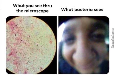 Oh really!🙄