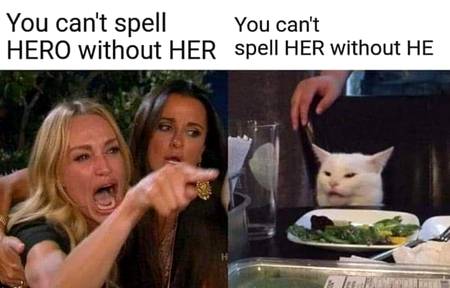 Cat is Always rightxD