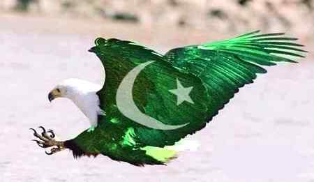 Sending by fareed ahmed shaikh azaadi mubarak