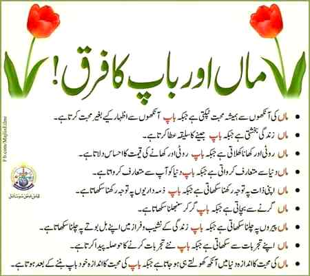 Ami aur abu mn kia frq hota hy