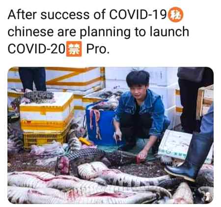 Covid 19 pro...