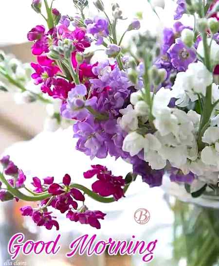 Asslaam o alikum Mughal sharni