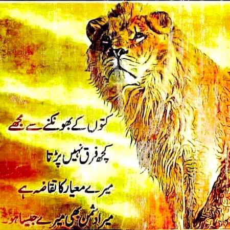 Sending by fareed ahmed shaikh