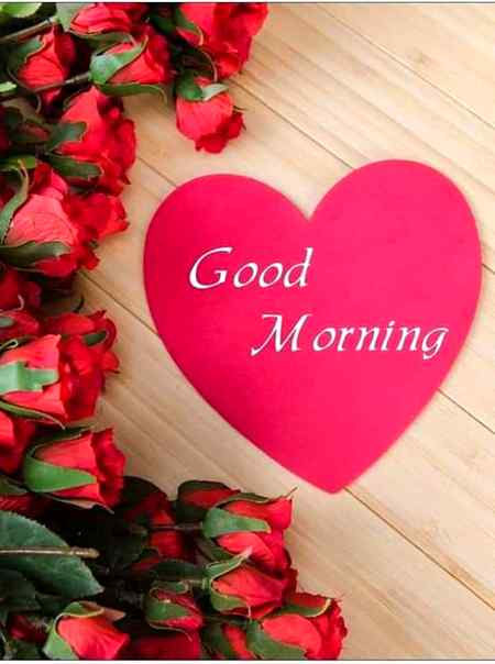 Asalam alaikum to all...❤❤❤