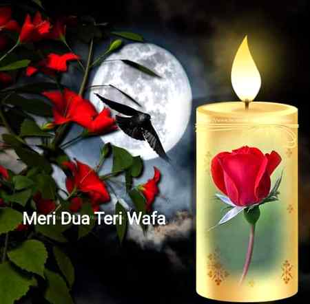 اور بھی سنگ قافلے بڑھ جانے والے
اک تم ھی نہیں چھوڑ کر مجھے جانے والے

تھی مشکل مگر یاد داشت اچھی ھے ھماری
مجھے اب تلک یاد ھے مجھے بھلانے والے

یہ کیا کر کے سپردٍ خاک واپس وہ چل دیئے
لائے تو تھے کاندھے پہ یہ مجھے زمانے والے

آیا جو وقتٍ آخر ھم رہ رہ کے جل اٹھے
عمر بھر خوب جلے ھیں مجھے جلانے والے

آپ دکھی اسلئے خوشی کھو گئی اور ھمیں
اب دکھ بھی نہیں ملتے دل دکھانے والے

دل نے کب خرد کی مانی ھے محبت والو
ورنہ کچھ لوگ میسر تھے بتانے والے

پھر کیا لے کے اپنا منہ رہ گئے لیکن اے وفا
آئے تو تھے رسمٍ الفت مجھے سمجھانے والے