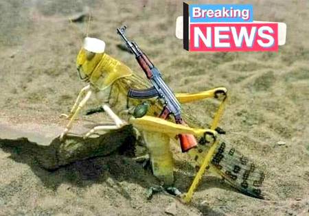 Major locust is been captured by india , accused of being pakistani agent.