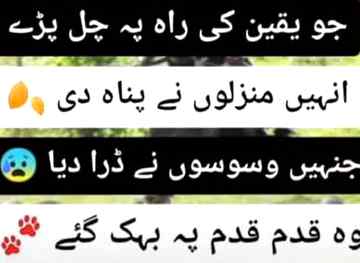 Qadam qadam pr bhak gy