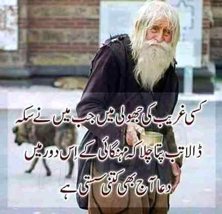 hlo friends