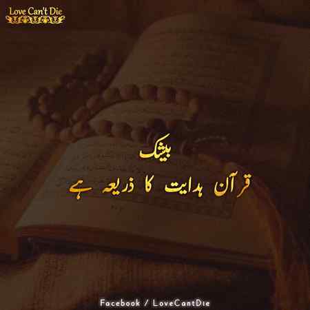 hlo friends