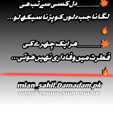 ہر ایک چہرے کی فطرت میں وفاداری نہیں ہوتی.