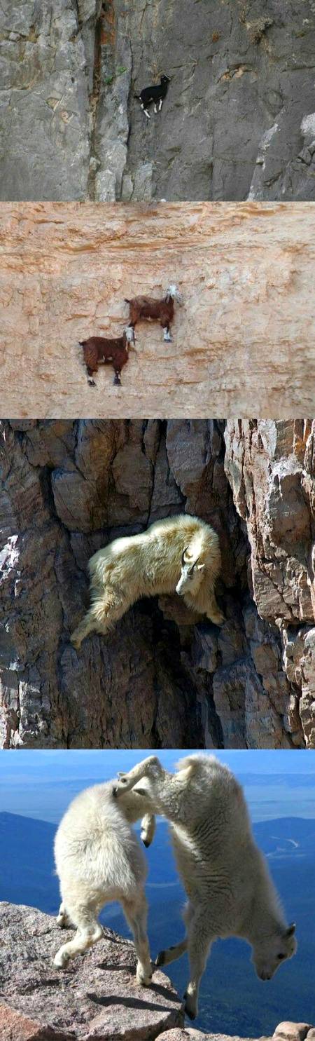 Awesome Photography 💕💕