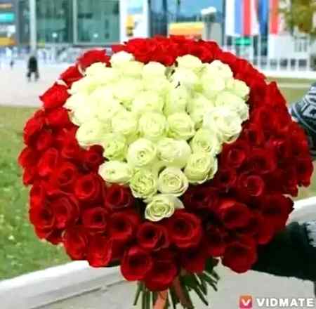Miss you so much usama Bhai kbi aa b Jaya Karin arsa ho Gaya Dekha Nahi apny Bhai ko online
