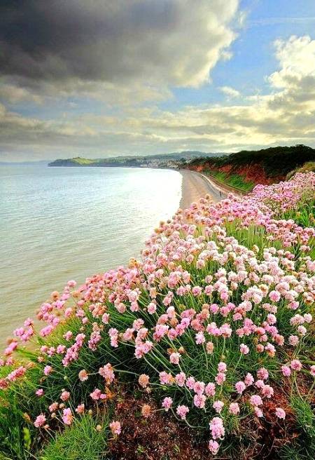 Beautiful view