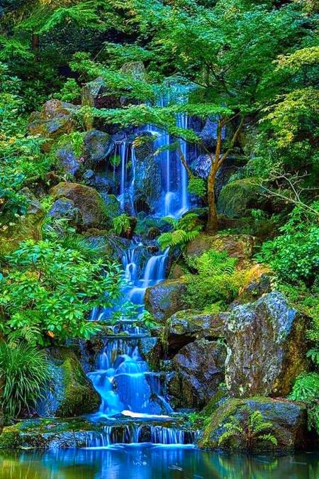 Water falls