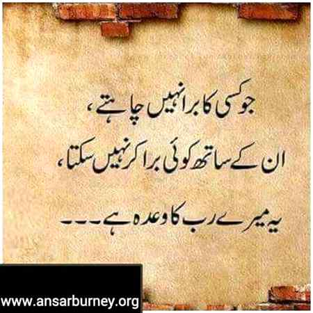 hlo friends