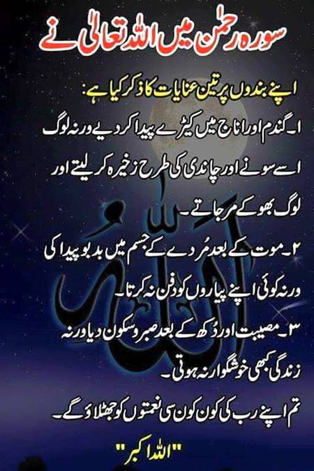 P0st By Cute Abbasi