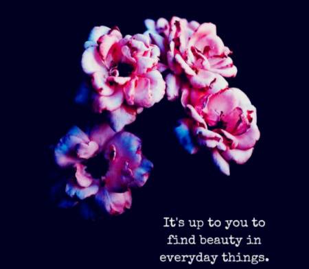 💕🌹💕🌹💕🌹💕🌹