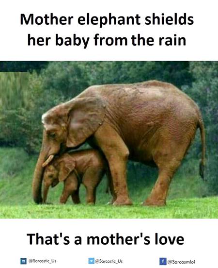 That's mother's love❤️❤️