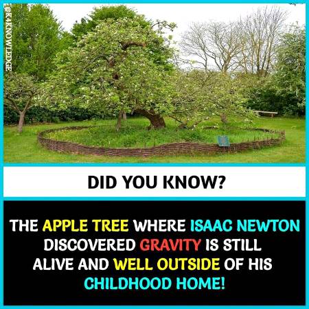 DID YOU KNOW??