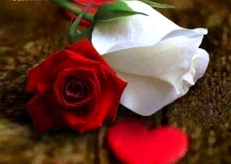 اور جنت میں وہ تمام چیزیں ہوں گی جن کی ان کے دل خواہش کریں گے اور جن سے آنکھوں کو لذت ملے گی اور تم اس میں ہمیشہ رہوگے۔ اور یہی وہ جنت ہے جس کا تمہارے اعمال کے صدقے تمہیں وارث بنایا گیا ہے
*زخرف:72-71*