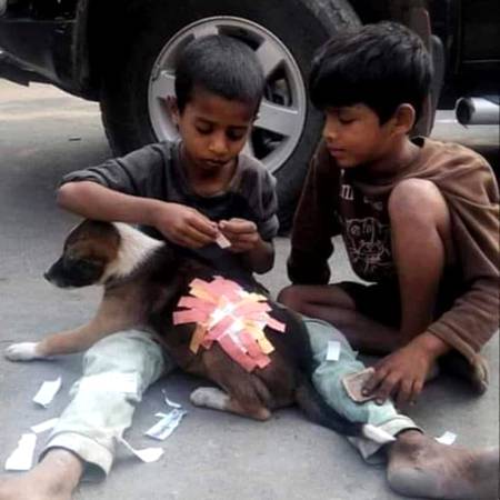 جن کے دامن میں کچھ نہیں ہوتا
ان کے سینوں میں پیار دیکھا ہے
