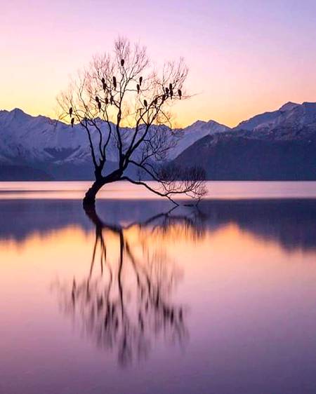 Lake wanaka newzealnd..