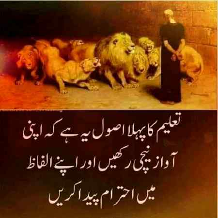 hlo friends