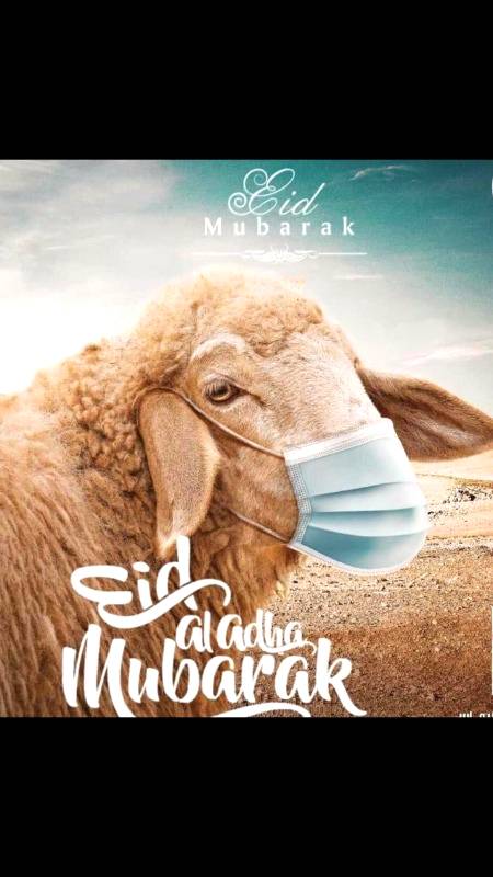 عید مبارک
اللہ آپ اور آپ کے گھر والوں کو ہزاروں خوشیاں عطاء فرمائےآمین