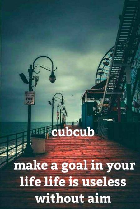 MAKE A GOAL