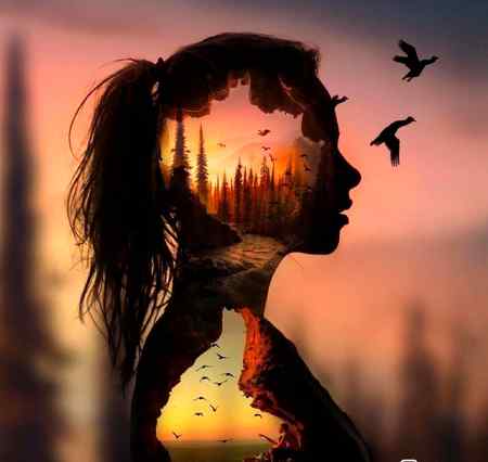 Everything displayed.