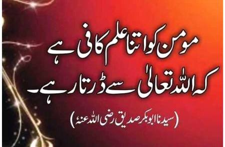 مومن کو اتنا علم کافی ہے کہ وہ اللہ تعالی سے ڈرتا رہے