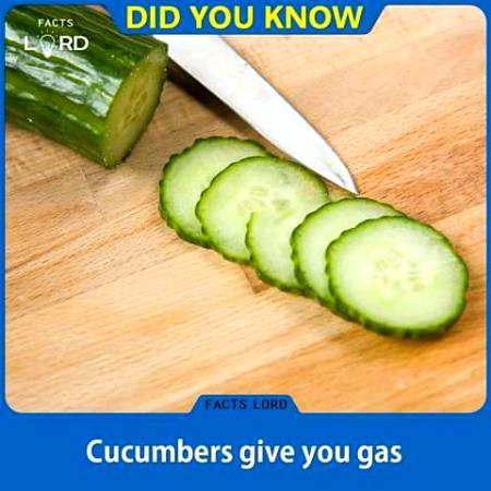 Unbelievable facts 💥💥