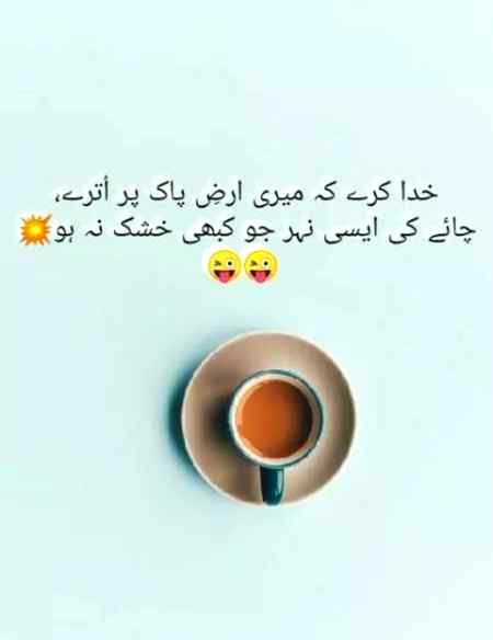 Jo chaa nhi peta vo hosh ma nhi atta