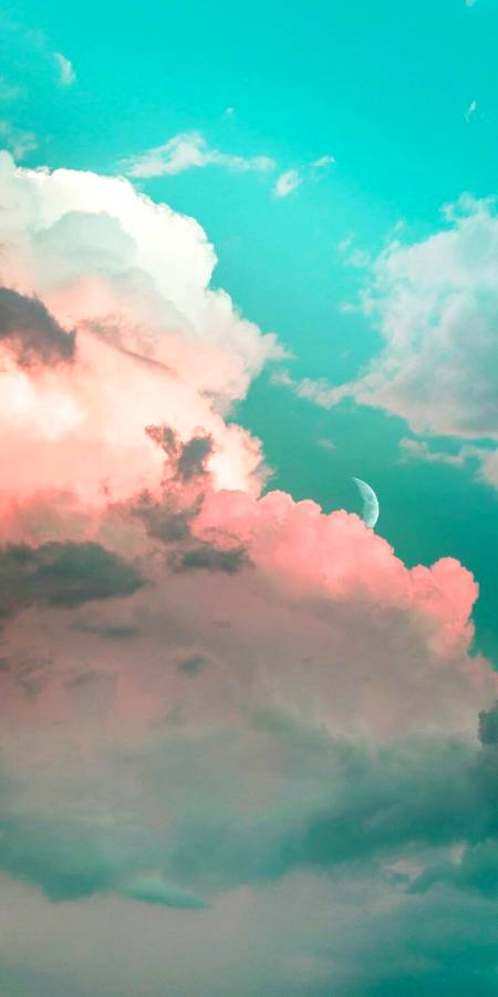 Moon has appeared the night has came