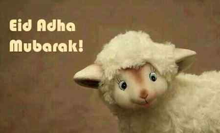 Eid mubarak