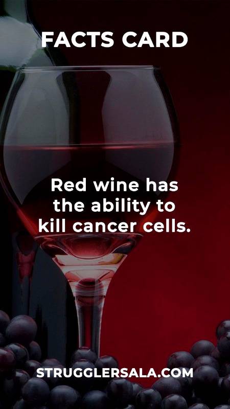 Red Wine kill cancer cells