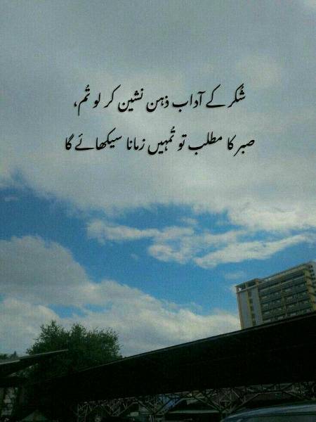 Just do shukr😉