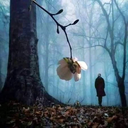 میں چلا گیا تو کبھی لوٹ کر نہیں آؤنگا!!

اس قدر نہ ستاؤ بہت اداس ہوں آج کل!! 
💔😢