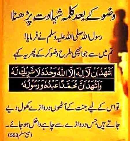 Sending by fareed ahmed shaikh