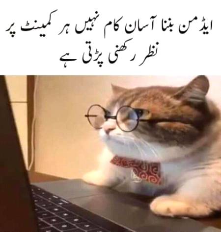 Admin Zinda B ha 😱
