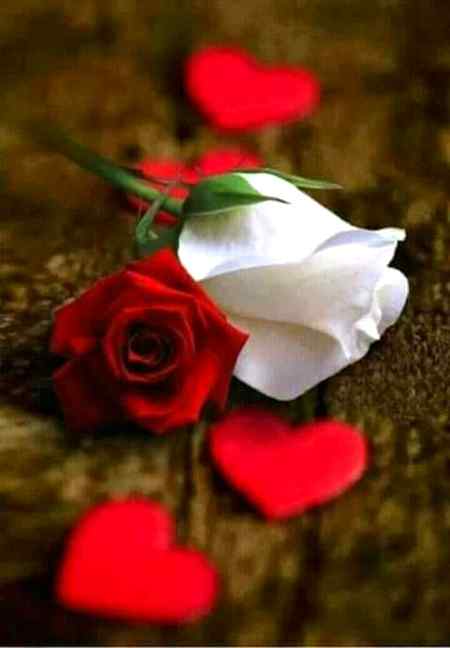 G00D M0rNiNG HavE a NyX Day