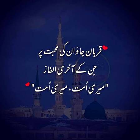 ...❤❤❤...