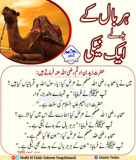 Har Ball k Badly Neki