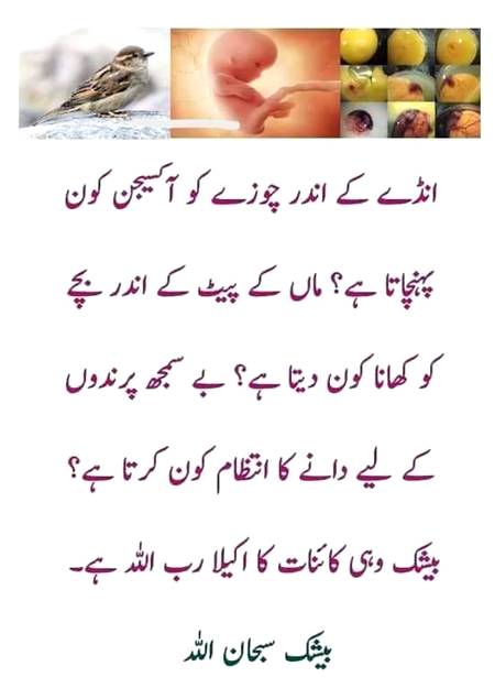 Woi khuda ha