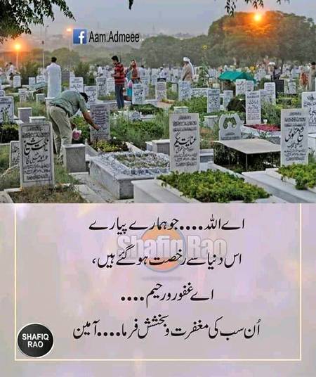 Sary bolo ameen