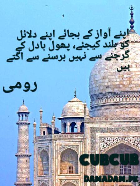 RUMI'S WORDS